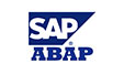 SAP ABAP 